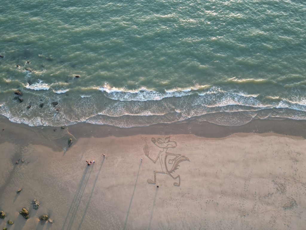 Vue aérienne éloignée de la fresque Coyote près de la mer, avec des personnes sur la plage